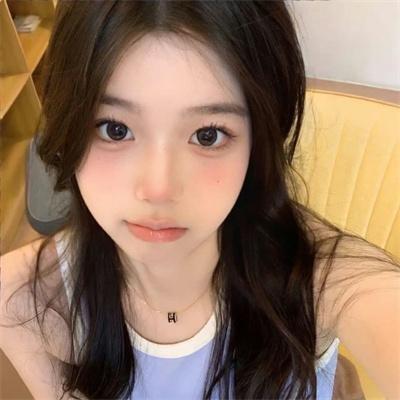 某小说家的日记